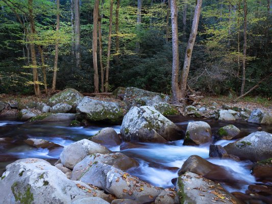 Asheville Photo Tours