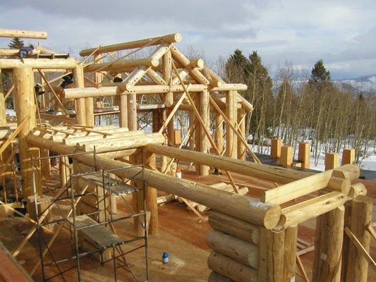 Log-framed house