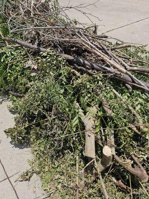 Unbundled cuttings for city to discard