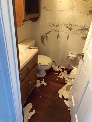 This "before" picture of the bathroom shows a great deal of work was needed.