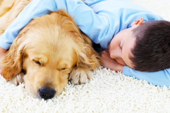 Tornado Carpet Cleaning