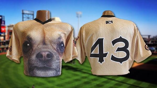 Chihuahua's New Uniforms!