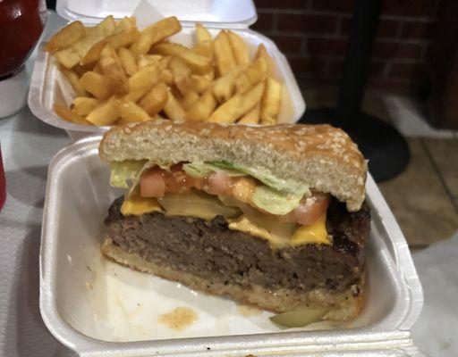 Hamburger with fries