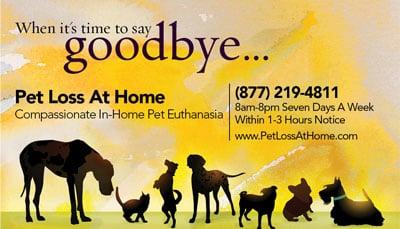 Pet Loss At Home - Home Euthanasia Vets