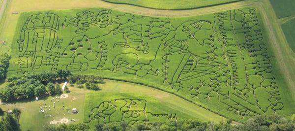 2014 Maze - Wonderful Wisconsin