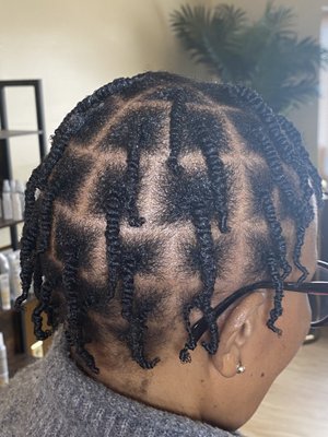 Two Strand Twist