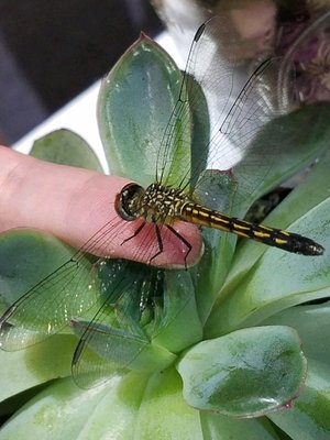 A visitor to our shop.