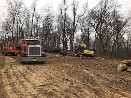 Cleaning up a site where a new home will be built.