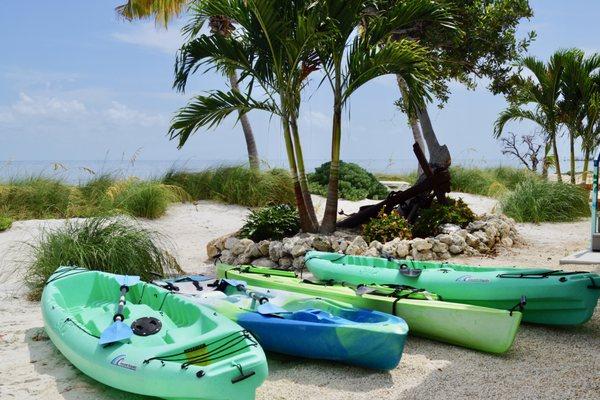 Kayaks on beach, late Summer 2019