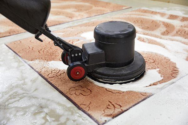 Carpet Cleaning Service In Tampa | Upholstery & Tile Cleaning