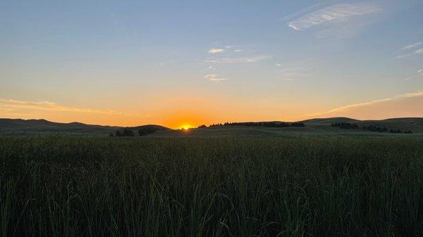 Sunrise from the front yard