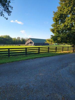 Arcadia has some unique accommodations, like the bunkhouse, a 3 bedroom apartment located over one of the many horse barns on the farm