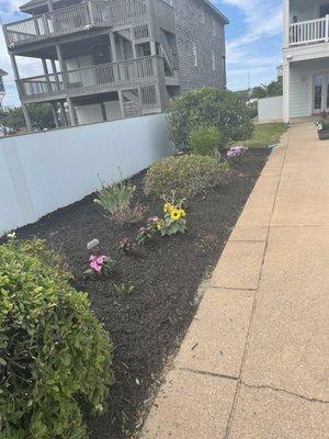 Planted new flowers and bushes by my pool