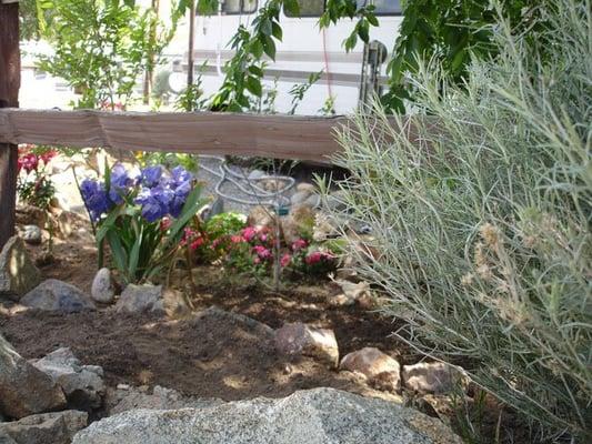 A lovely tenant garden.