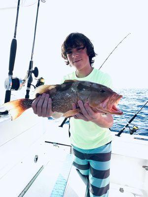 Matthew's grouper