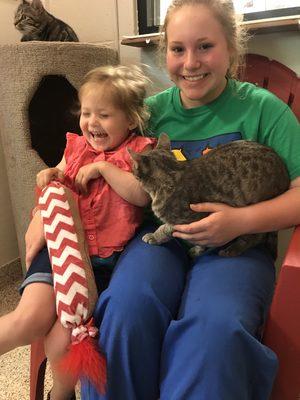 Kids love playing with kitties in our "Cat condo"