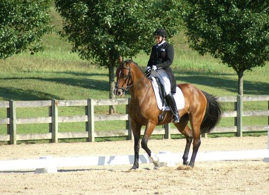 Dressage at Circle G