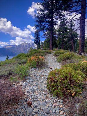 Ridge trail with fallen leaf lake on the left