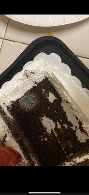 Chocolate cake with mold