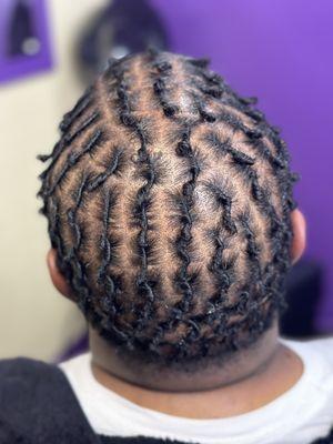 Starter locs (comb coils)