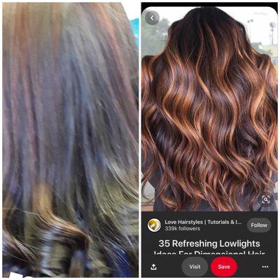 Left: my hair after Ealissa colored it. Right: photo I showed Ealissa.