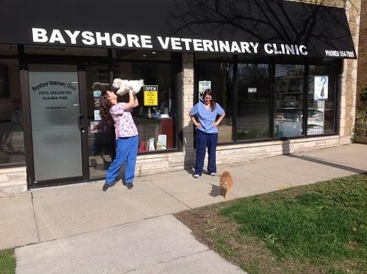 Front Sign Of Bayshore Vet Clinic.