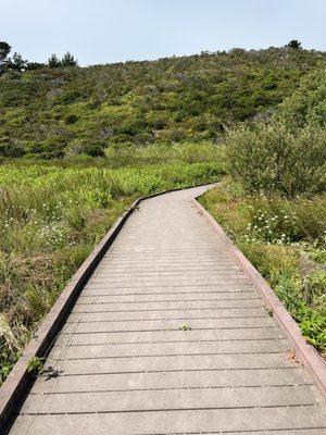 Walkway to the trail