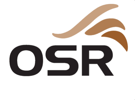 OSR Physical Therapy