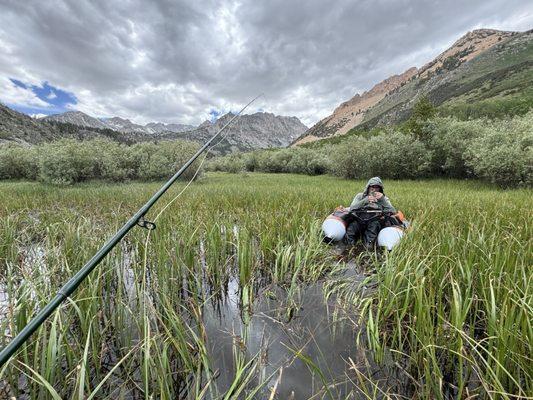 Fred "anchored" in the reeds. Hanging out and giving me advice.