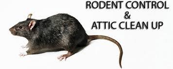 Crown City Rodent Control