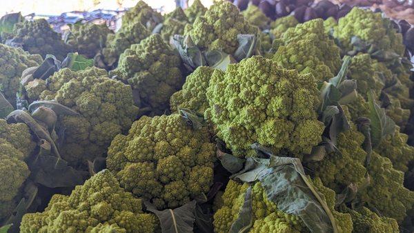 Romanesco on sale!!