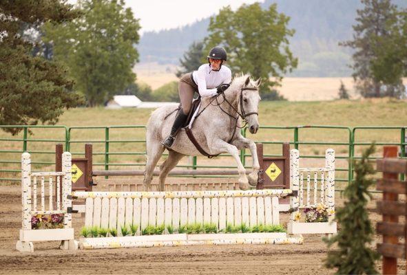 Show Jumping Session