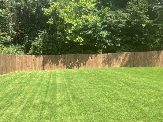 Mowing and maintaining yard