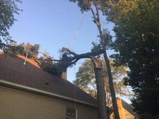 Large tree falls on home during storm