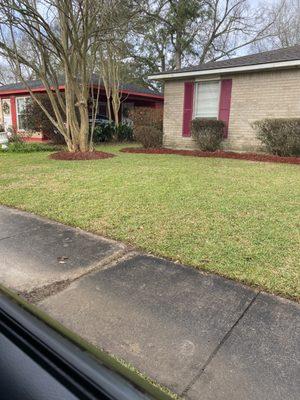 Clean up, hedge trim and mulch application