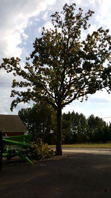 Tree removal in the center of a parking lot to make Room for more parking at our church. Out standing job