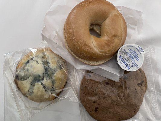 Blueberry scone (gross) bagel and chocolate chip cookie was good