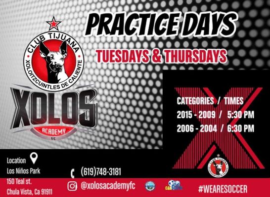 Xolos Academy