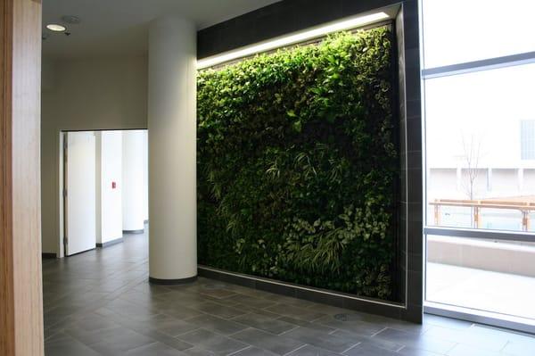 Greenwall / Living wall at Scripps (HGTV) Headquarteds in Knoxville, TN