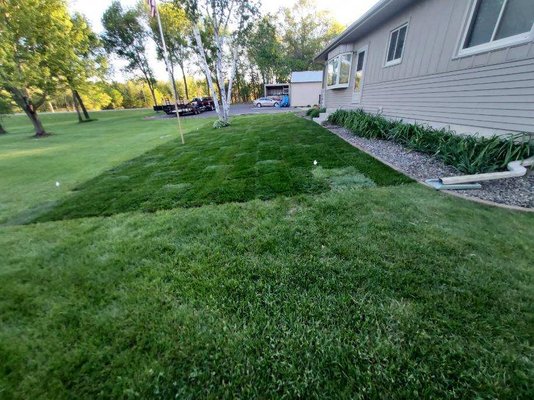 Sod installation, lawn care