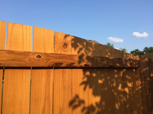 Premier Fence & Decks