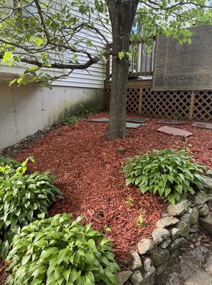 Mulch bed after (2)