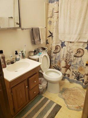 Finished residential bathroom.