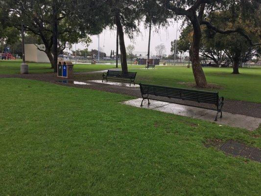 New park benches new cemented trash/recycling.