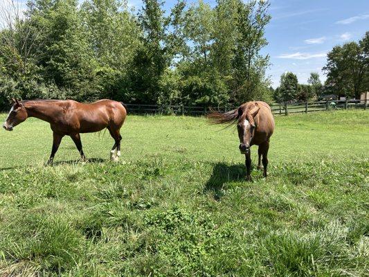 Willow Ridge Therapeutic Riding Facility