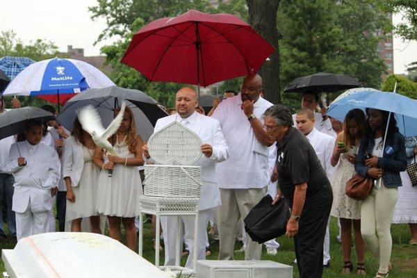 Dove Releasing