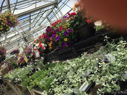 Jim Whiting Nursery & Garden Center