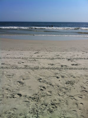 View from the beach boardwalk