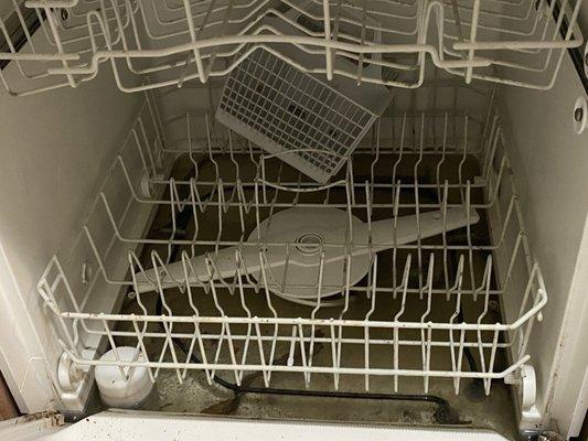 Dish washer