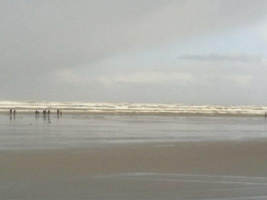 Razor clamming